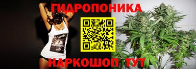 СК Кунгур
