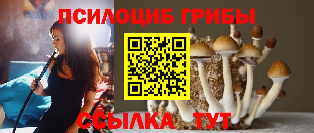 Псилоцибиновые грибы MAGIC MUSHROOMS  Вход с VPN  Юрга 